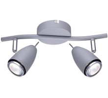 Спот Regista A1966AP-2GY Arte Lamp