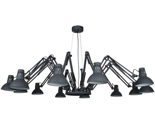 Подвесная люстра Ragno A2043SP-12BK Arte Lamp