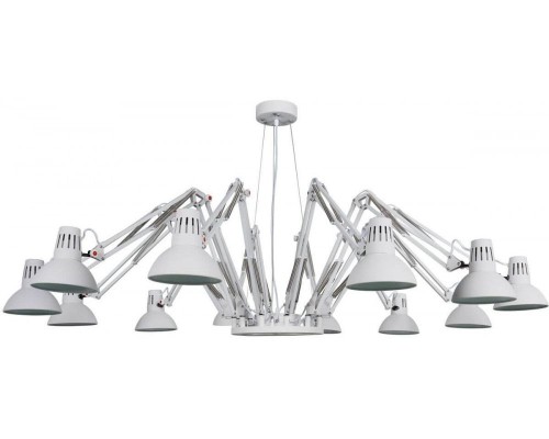 Подвесная люстра Ragno A2043SP-12WH Arte Lamp