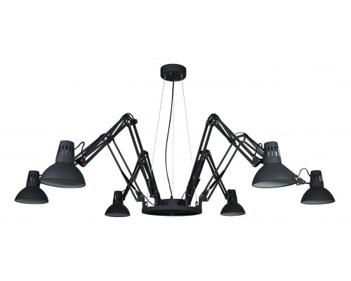 Подвесная люстра Ragno A2043SP-6BK Arte Lamp