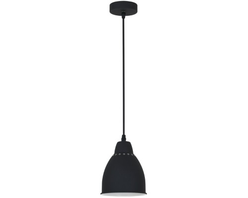 Подвесной светильник Braccio A2054SP-1BK Arte Lamp