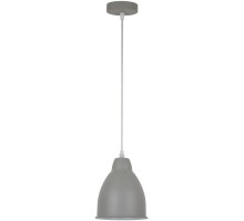 Подвесной светильник Braccio A2054SP-1GY Arte Lamp