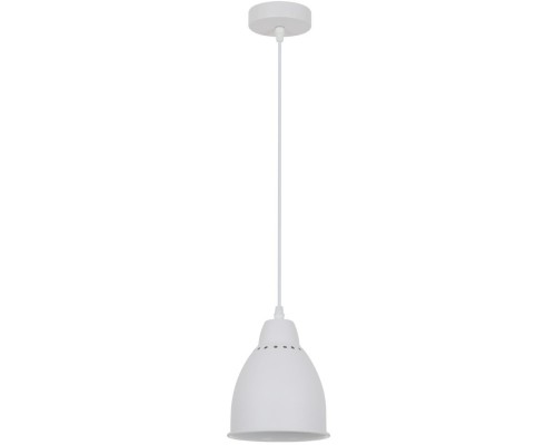 Подвесной светильник Braccio A2054SP-1WH Arte Lamp