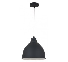 Подвесной светильник Braccio A2055SP-1BK Arte Lamp