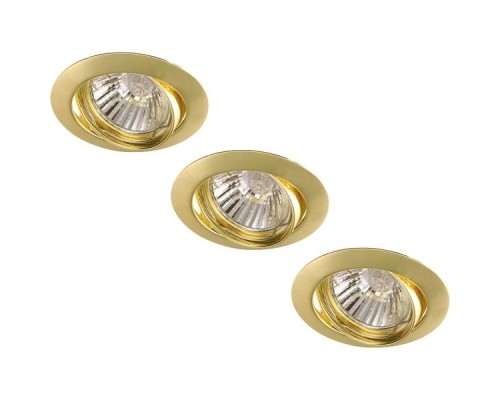 Точечный светильник Basic A2105PL-3GO Arte Lamp
