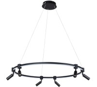 Подвесной светильник Ring A2186SP-1BK Arte Lamp