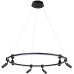 Подвесной светильник Ring A2186SP-1BK Arte Lamp