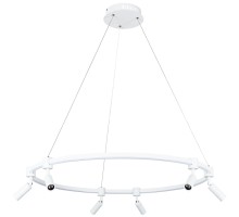 Подвесной светильник Ring A2186SP-1WH Arte Lamp