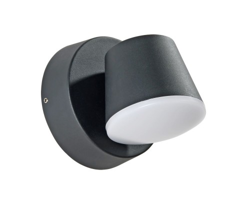 Настенный светильник уличный Chico A2212AL-1BK Arte Lamp