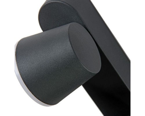 Настенный светильник уличный Chico A2212AL-2BK Arte Lamp