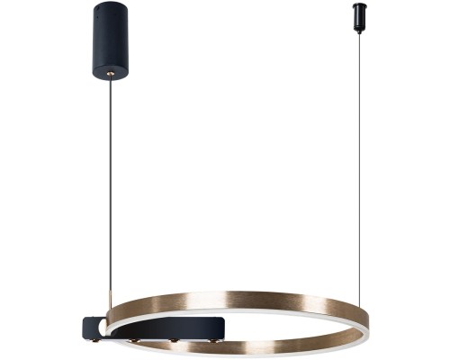 Подвесной светильник Veritate A2221SP-1BR Arte Lamp