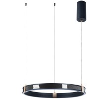 Подвесной светильник Shine A2222SP-1BK Arte Lamp