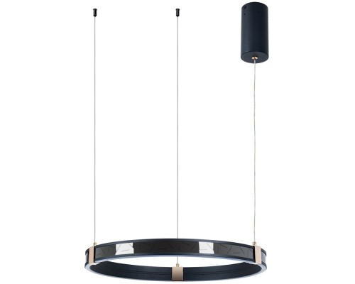 Подвесной светильник Shine A2222SP-1BK Arte Lamp