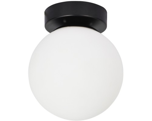 Настенно-потолочный светильник Alcor A2224PL-1BK Arte Lamp