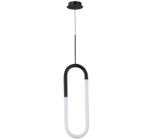 Подвесной светильник Lumino A2233SP-20BK Arte Lamp