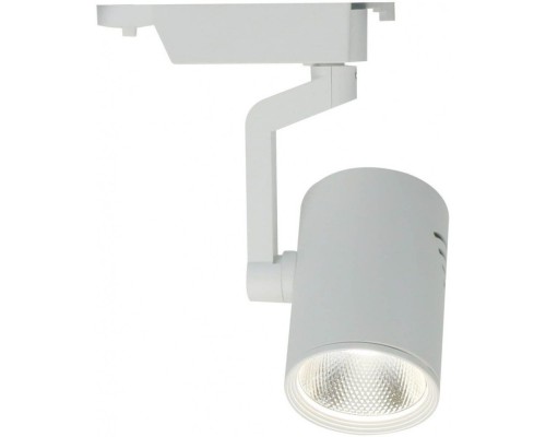 Трековый светильник Traccia A2310PL-1WH Arte Lamp