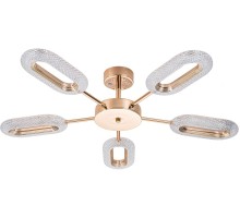 Потолочная люстра Ovale A2489PL-5GO Arte Lamp