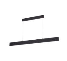 Подвесной светильник Largo A2505SP-2BK Arte Lamp