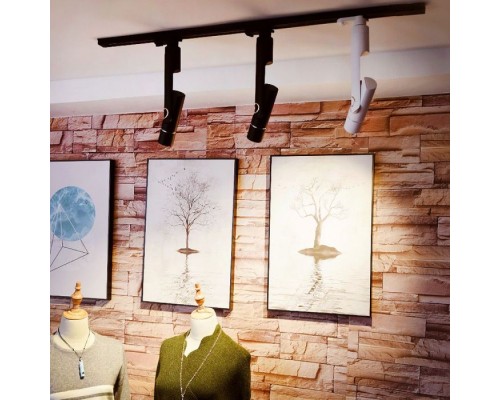 Трековый светильник Orion A2512PL-1WH Arte Lamp