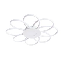 Потолочная люстра Polli A2528PL-8WH Arte Lamp