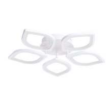 Потолочная люстра Polli A2531PL-5WH Arte Lamp