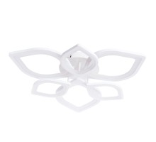 Потолочная люстра Polli A2531PL-6WH Arte Lamp