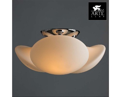 Потолочная люстра Aqua-sfera A2550PL-3CC Arte Lamp