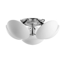 Потолочная люстра Aqua-sfera A2550PL-6CC Arte Lamp