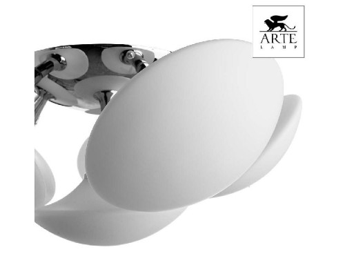 Потолочная люстра Aqua-sfera A2550PL-6CC Arte Lamp