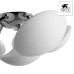 Потолочная люстра Aqua-sfera A2550PL-6CC Arte Lamp