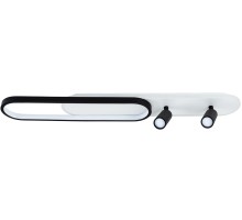 Потолочный светильник Lucas A2600PL-32BK Arte Lamp