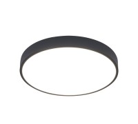 Потолочный светильник Arena A2661PL-1BK Arte Lamp