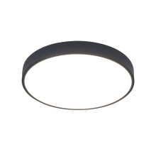 Потолочный светильник Arena A2661PL-1BK Arte Lamp