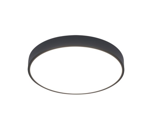 Потолочный светильник Arena A2661PL-1BK Arte Lamp