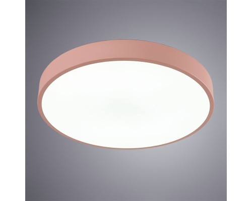 Потолочный светильник Arena A2661PL-1PK Arte Lamp