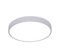 Потолочный светильник Arena A2661PL-1WH Arte Lamp