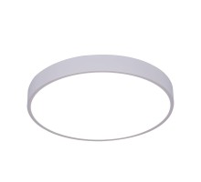 Потолочный светильник Arena A2661PL-1WH Arte Lamp