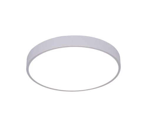 Потолочный светильник Arena A2661PL-1WH Arte Lamp