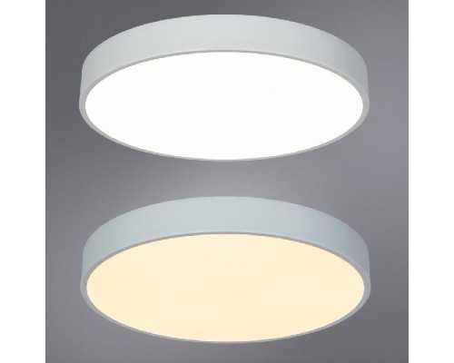 Потолочный светильник Arena A2661PL-1WH Arte Lamp