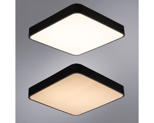 Потолочный светильник Scena A2663PL-1BK Arte Lamp