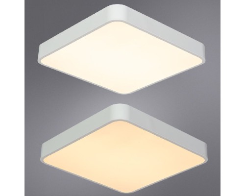 Потолочный светильник Scena A2663PL-1WH Arte Lamp