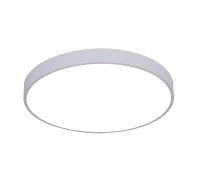 Потолочный светильник Arena A2670PL-1WH Arte Lamp