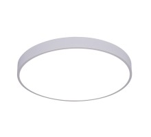 Потолочный светильник Arena A2670PL-1WH Arte Lamp