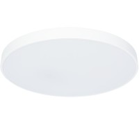 Потолочный светильник Arena A2671PL-1WH Arte Lamp