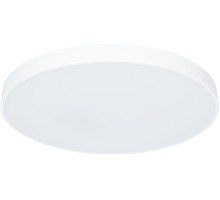 Потолочный светильник Arena A2671PL-1WH Arte Lamp