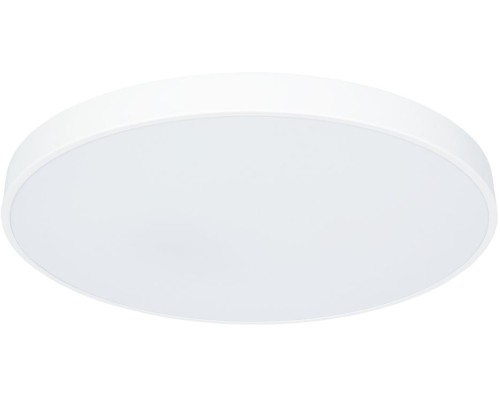 Потолочный светильник Arena A2671PL-1WH Arte Lamp