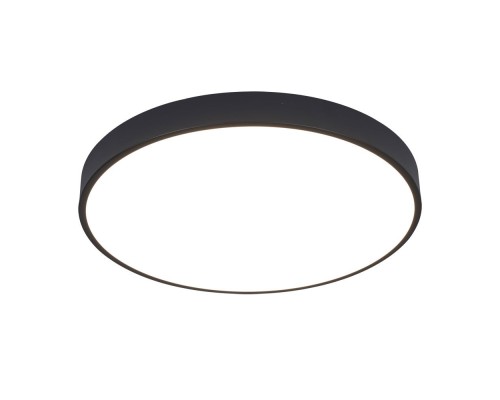 Потолочный светильник Arena A2672PL-1BK Arte Lamp