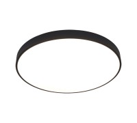 Потолочный светильник Arena A2673PL-1BK Arte Lamp