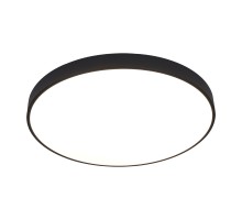 Потолочный светильник Arena A2673PL-1BK Arte Lamp