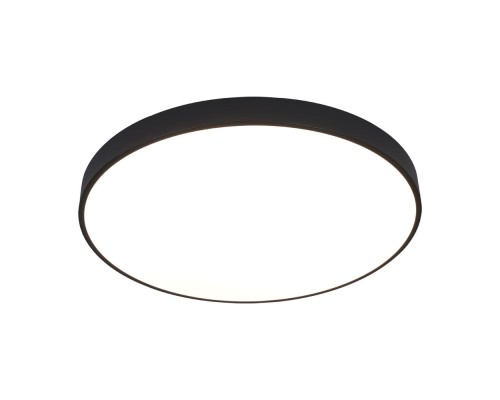 Потолочный светильник Arena A2673PL-1BK Arte Lamp